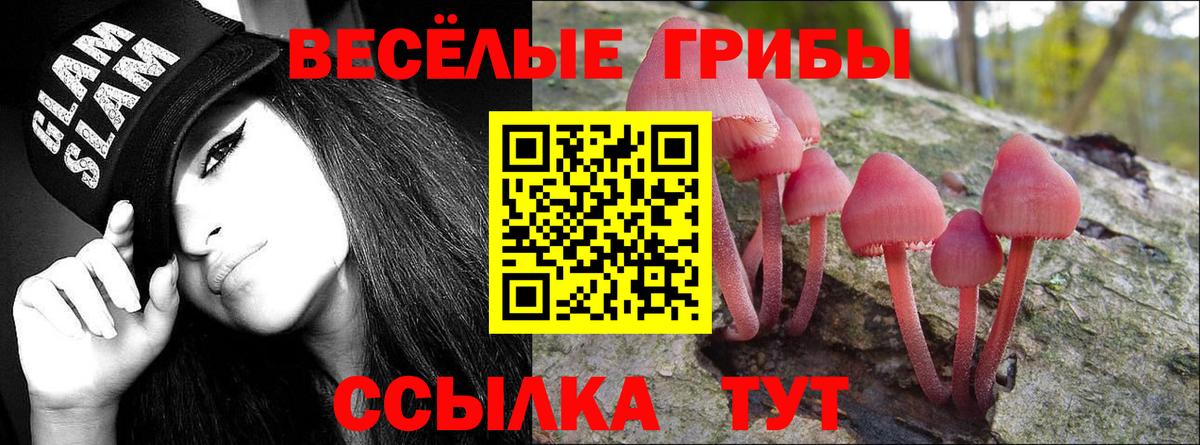 Псилоцибиновые грибы MAGIC MUSHROOMS Ахтубинск